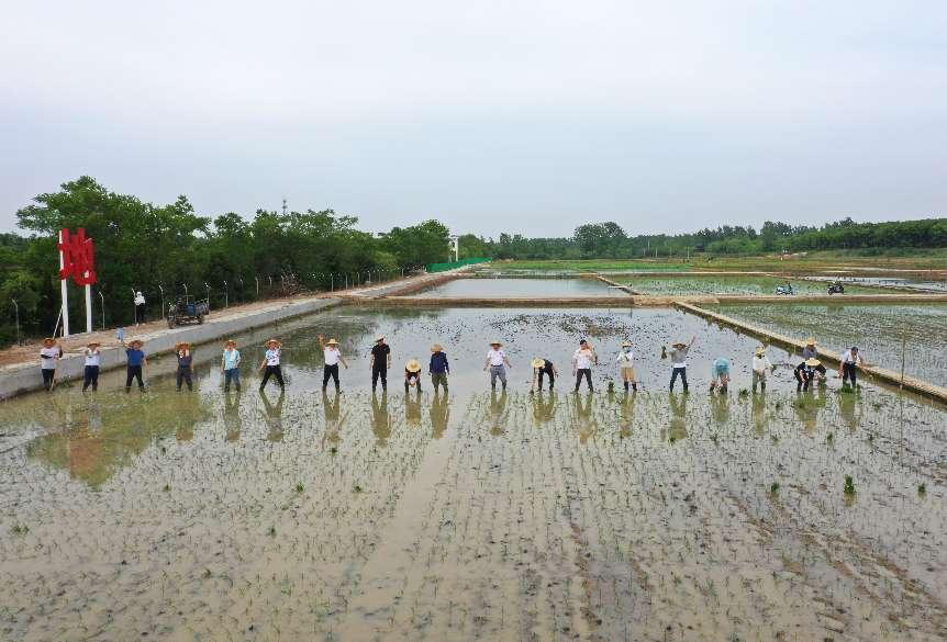 圖片6.png 圖片6.png