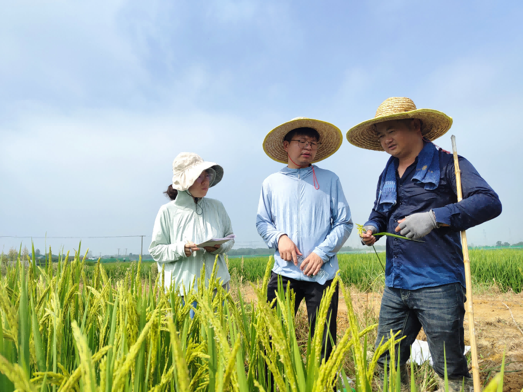 圖片3.png 圖片3.png