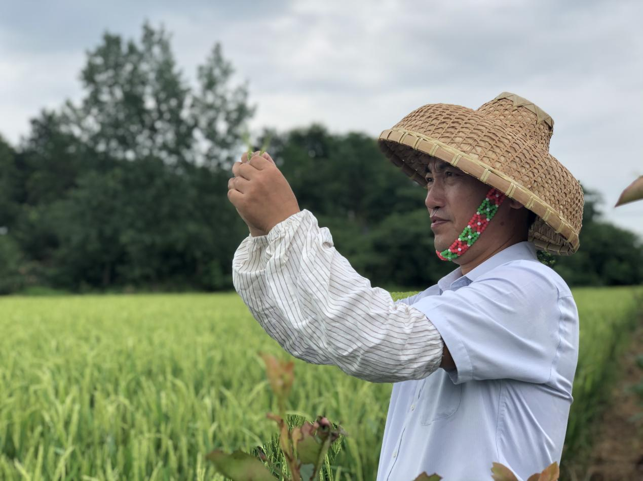 圖片4.png 圖片4.png