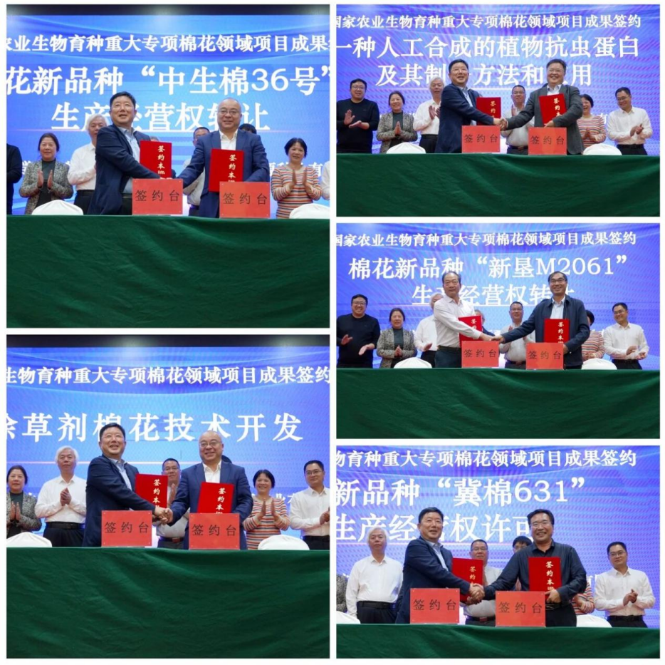 圖片5.png 圖片5.png